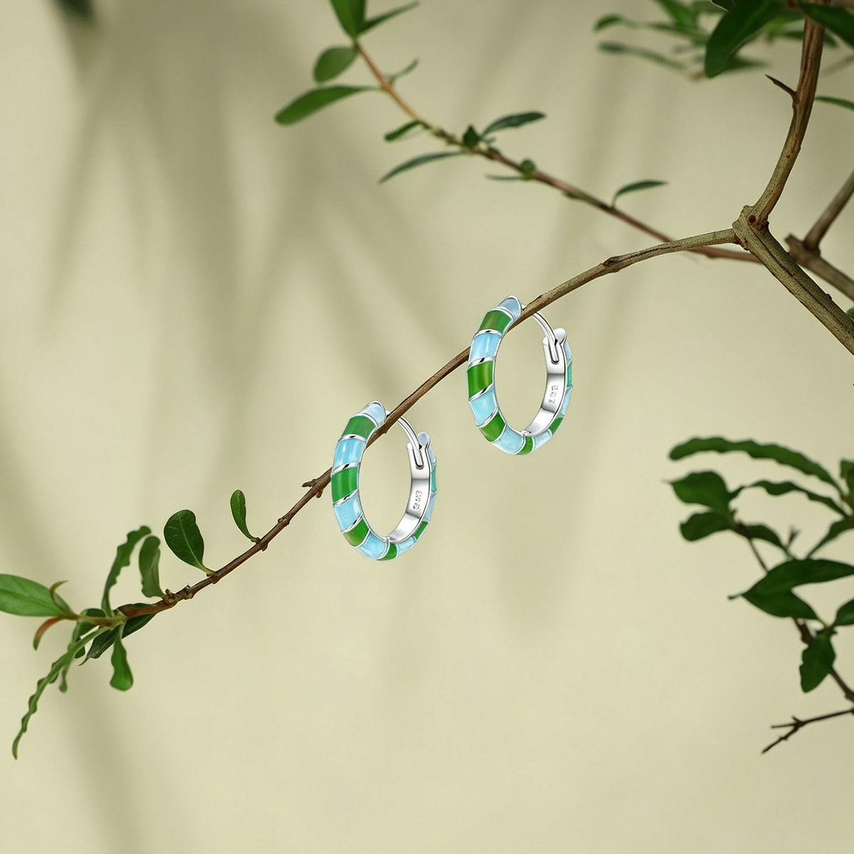 Lüshuo Enamel Hoop Earrings | Sterling Silver Earrings ER18